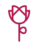 floristeria pax removebg preview